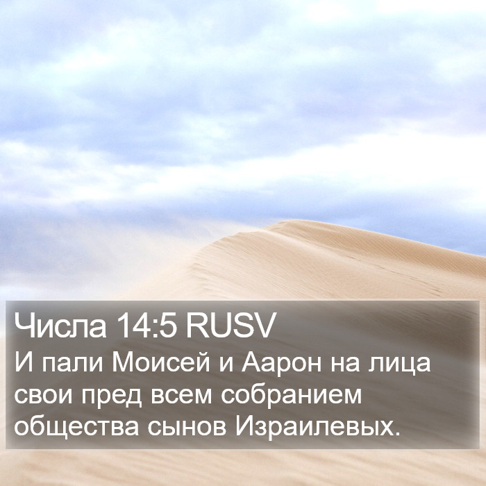 Числа 14:5 RUSV Bible Study