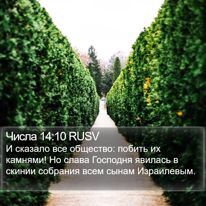 Числа 14:10 RUSV Bible Study
