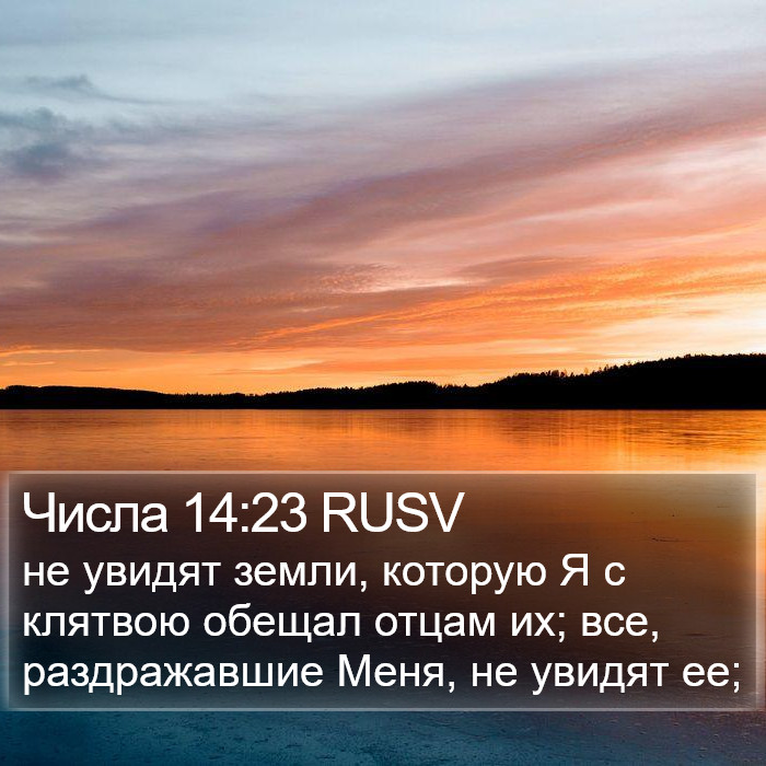 Числа 14:23 RUSV Bible Study