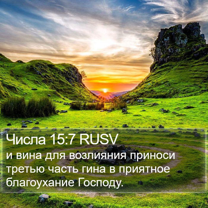 Числа 15:7 RUSV Bible Study