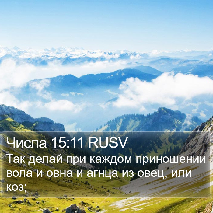 Числа 15:11 RUSV Bible Study