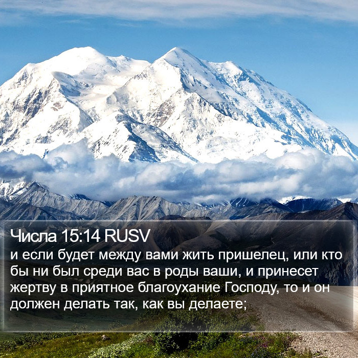 Числа 15:14 RUSV Bible Study