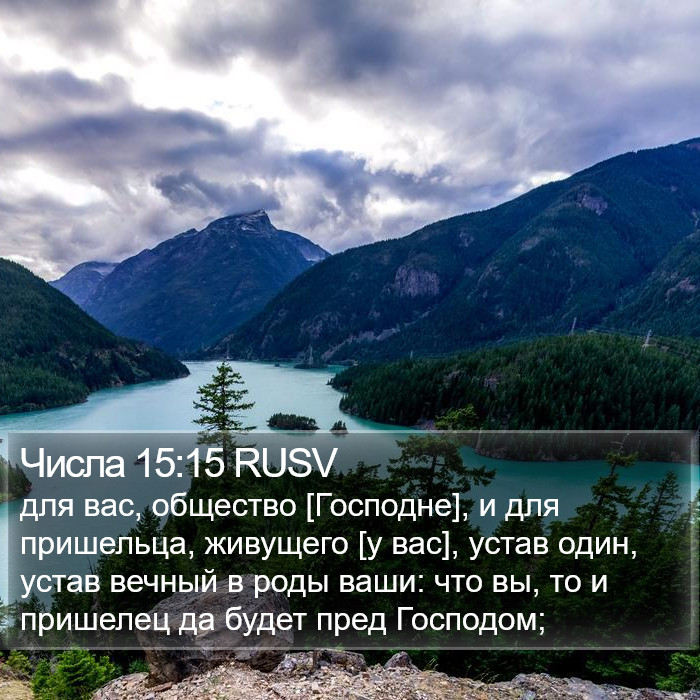Числа 15:15 RUSV Bible Study