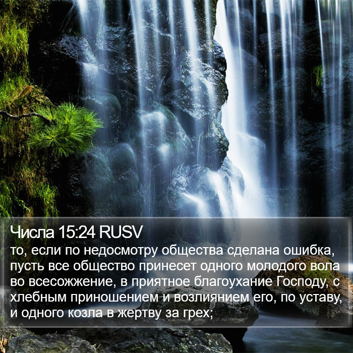 Числа 15:24 RUSV Bible Study