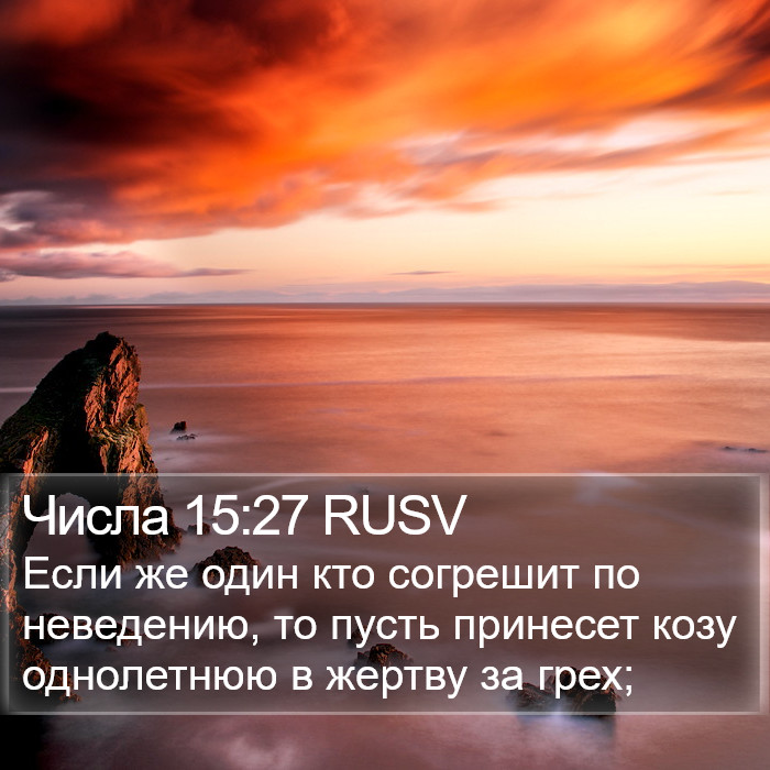 Числа 15:27 RUSV Bible Study