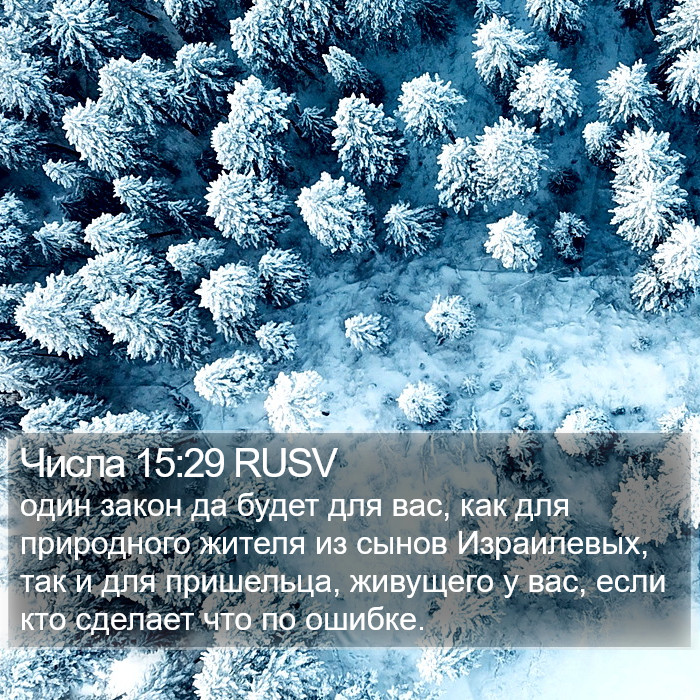 Числа 15:29 RUSV Bible Study
