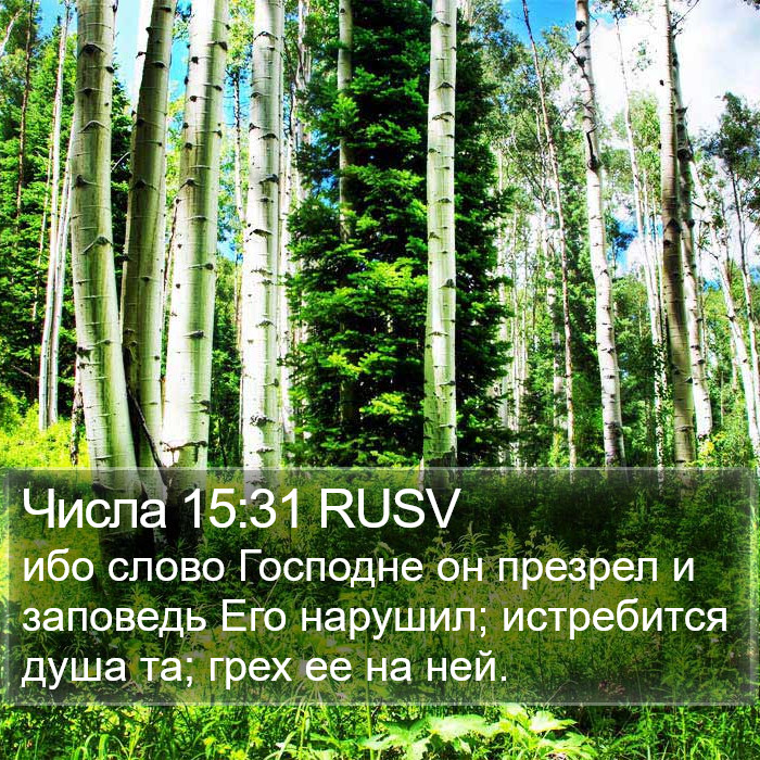 Числа 15:31 RUSV Bible Study