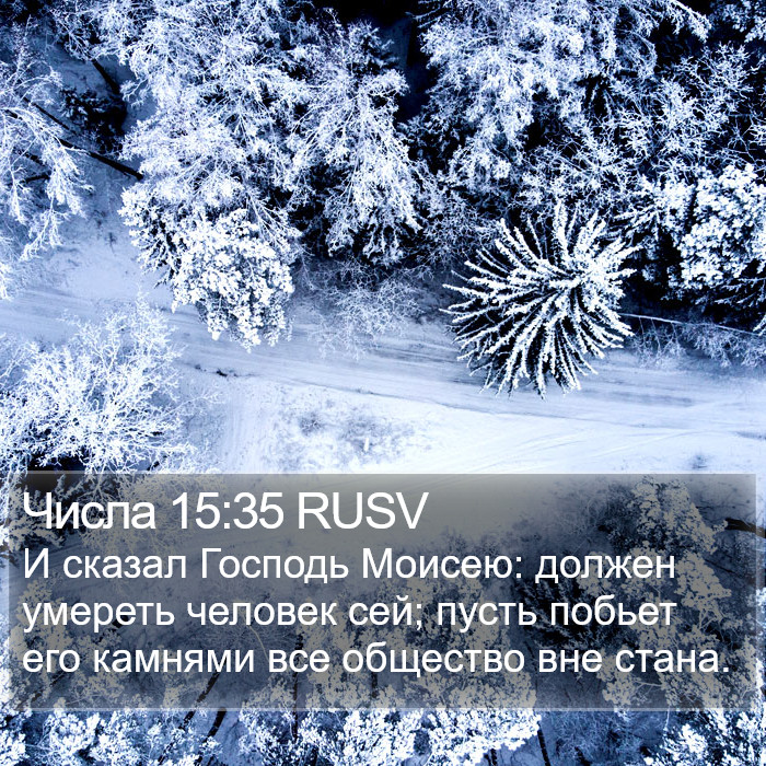 Числа 15:35 RUSV Bible Study