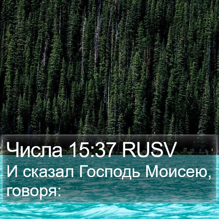 Числа 15:37 RUSV Bible Study