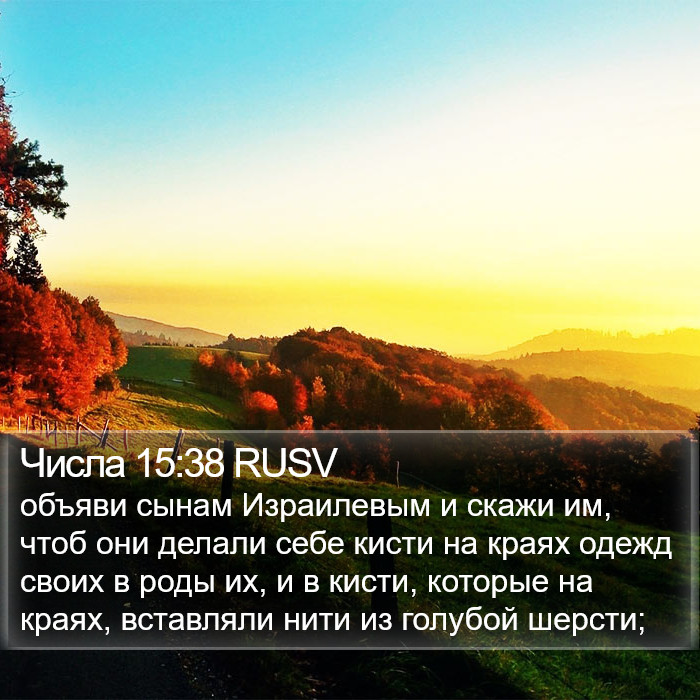 Числа 15:38 RUSV Bible Study