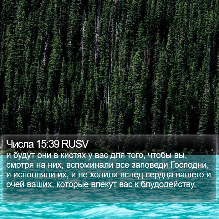 Числа 15:39 RUSV Bible Study