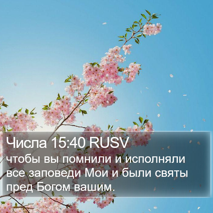 Числа 15:40 RUSV Bible Study