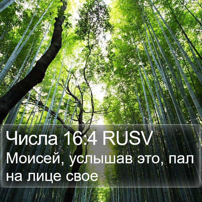 Числа 16:4 RUSV Bible Study