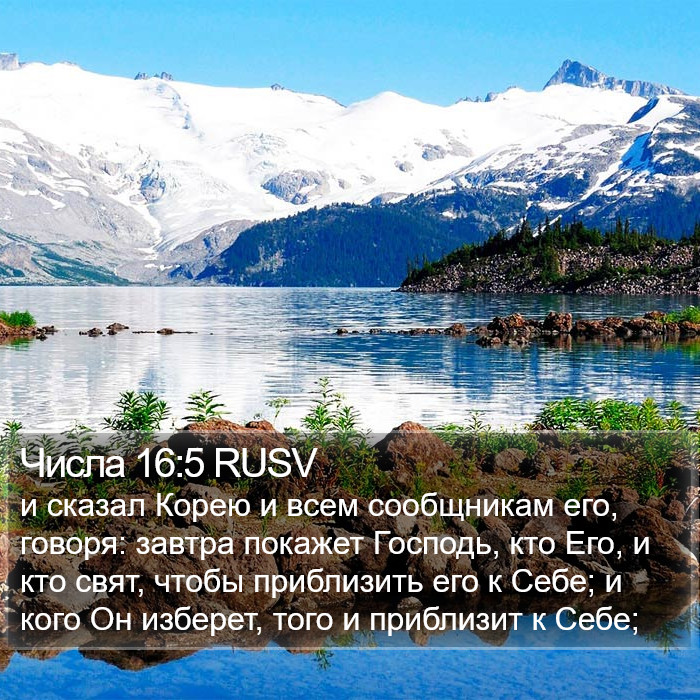 Числа 16:5 RUSV Bible Study