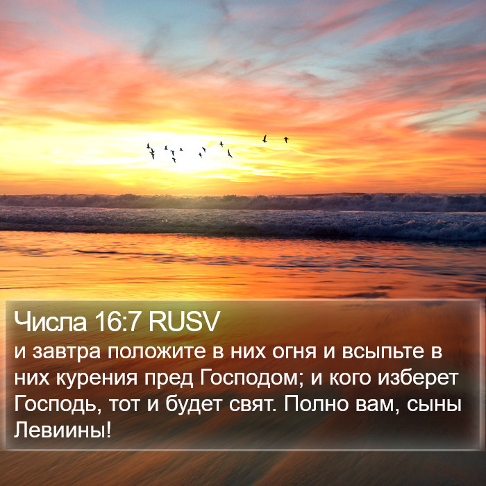 Числа 16:7 RUSV Bible Study