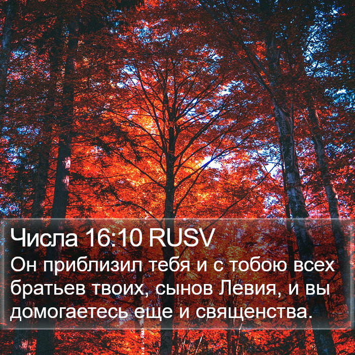 Числа 16:10 RUSV Bible Study