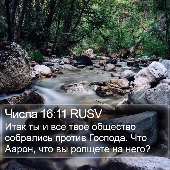 Числа 16:11 RUSV Bible Study