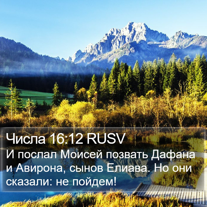 Числа 16:12 RUSV Bible Study