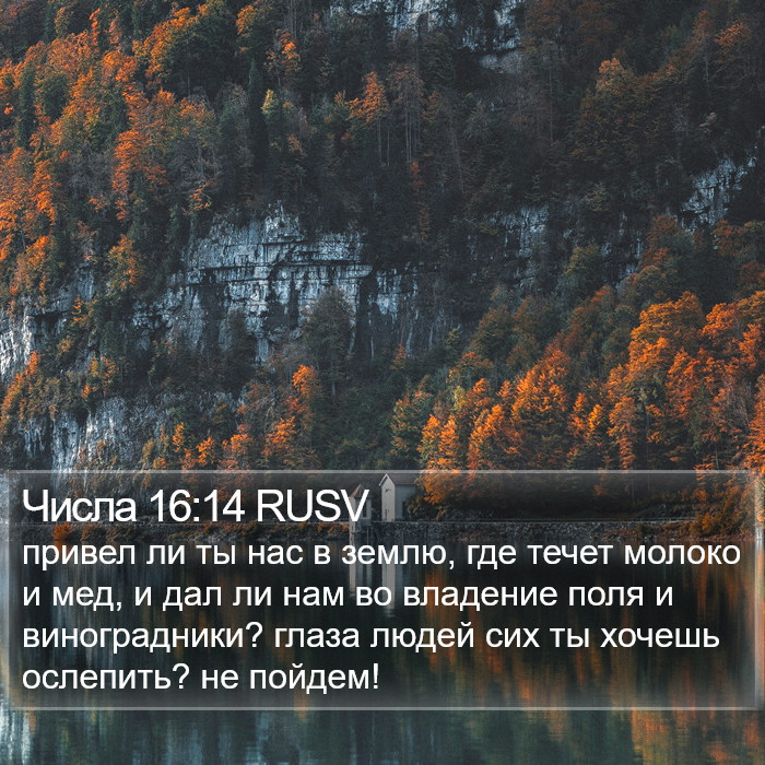 Числа 16:14 RUSV Bible Study