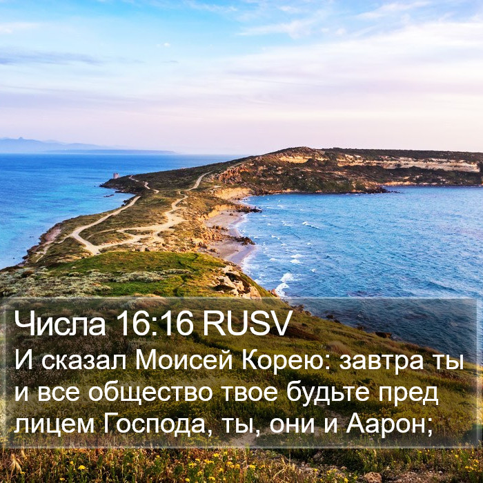 Числа 16:16 RUSV Bible Study