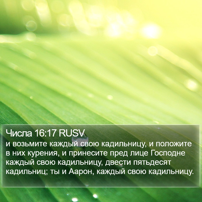 Числа 16:17 RUSV Bible Study