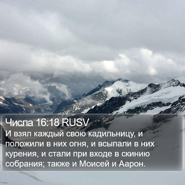 Числа 16:18 RUSV Bible Study