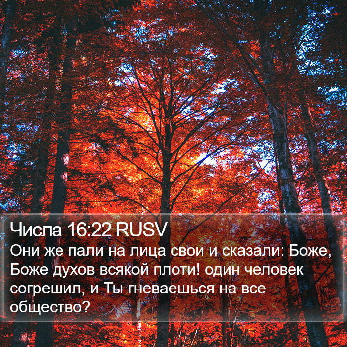 Числа 16:22 RUSV Bible Study