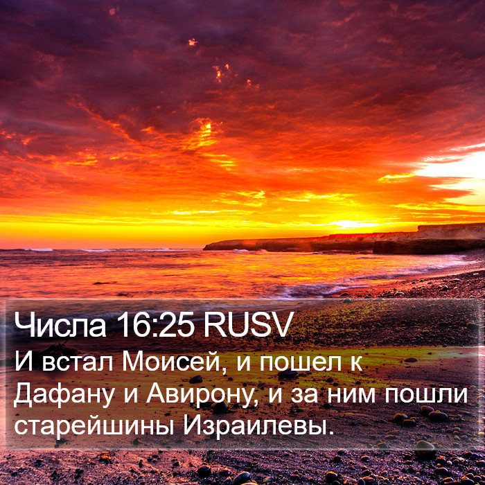 Числа 16:25 RUSV Bible Study