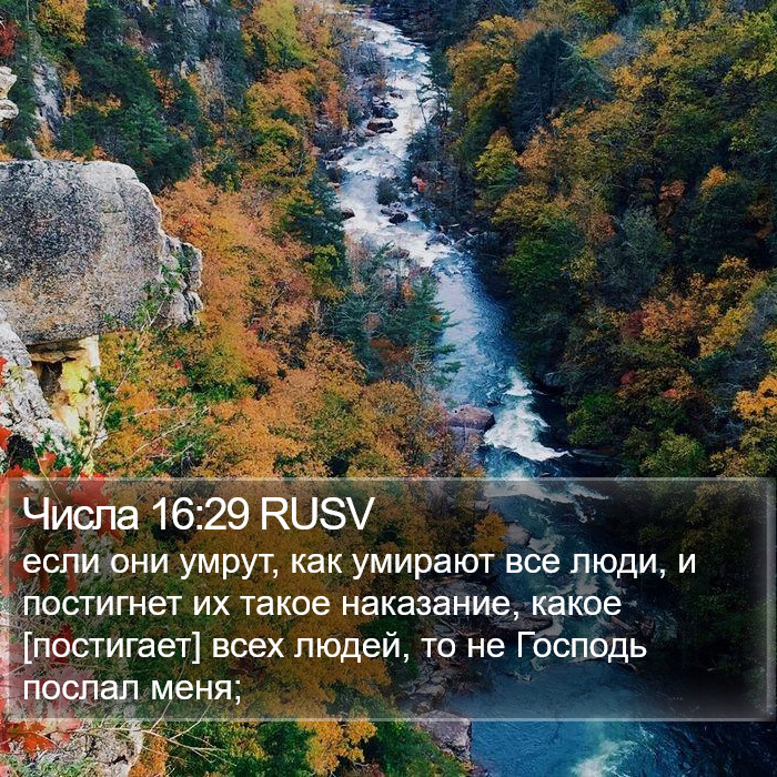 Числа 16:29 RUSV Bible Study