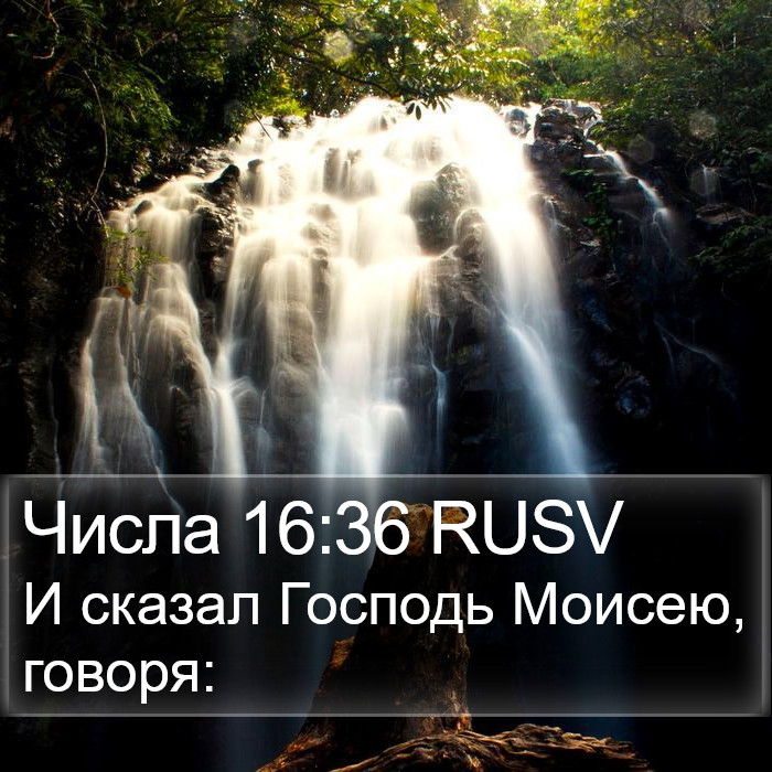 Числа 16:36 RUSV Bible Study