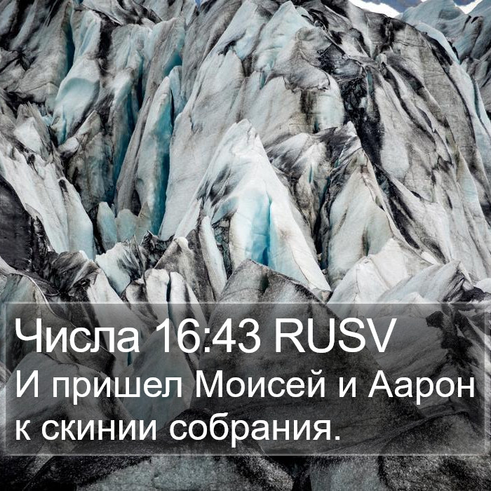 Числа 16:43 RUSV Bible Study