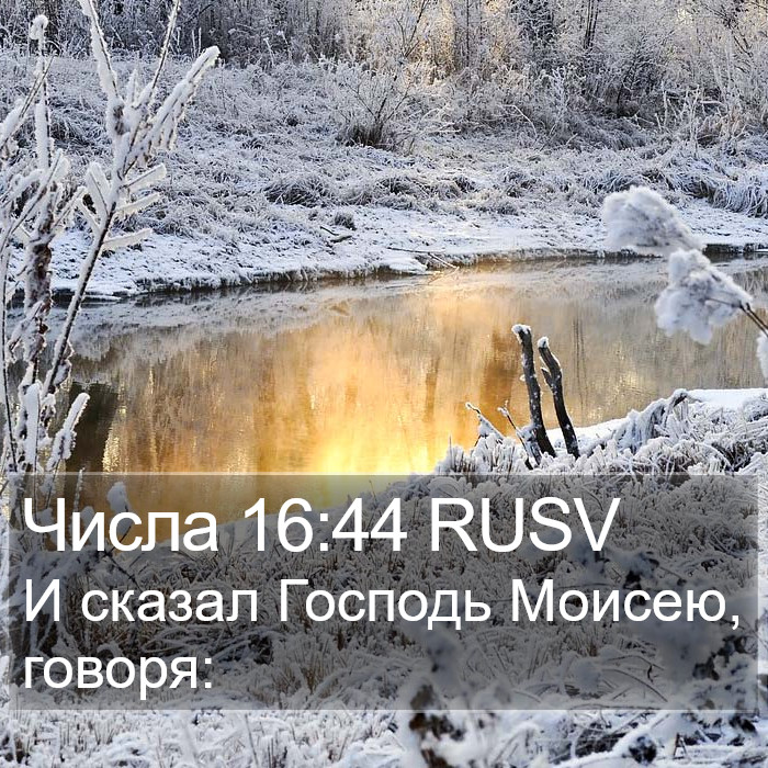 Числа 16:44 RUSV Bible Study