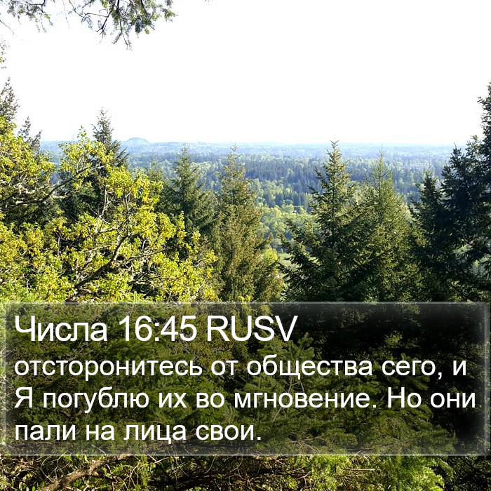 Числа 16:45 RUSV Bible Study