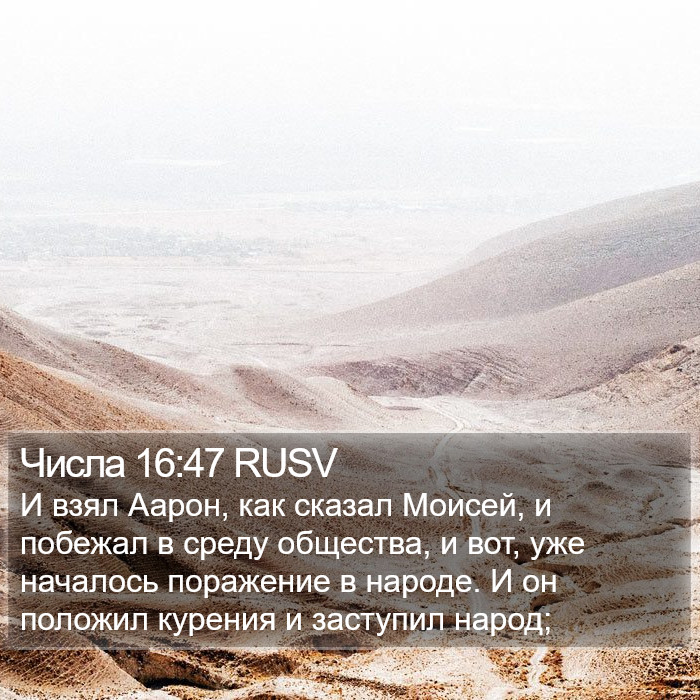 Числа 16:47 RUSV Bible Study