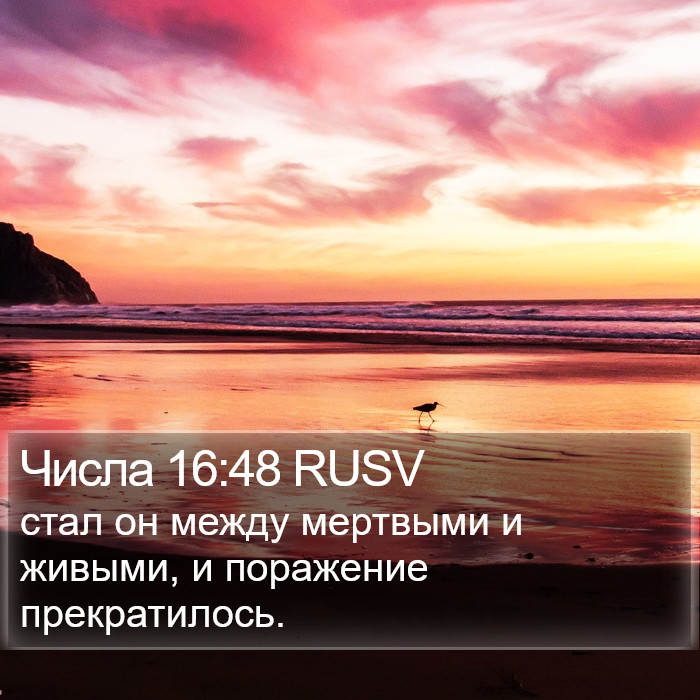 Числа 16:48 RUSV Bible Study