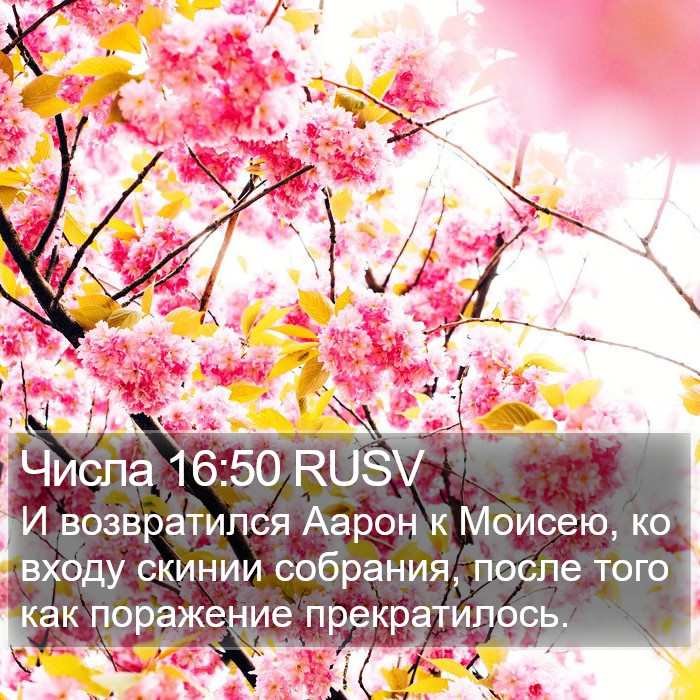 Числа 16:50 RUSV Bible Study