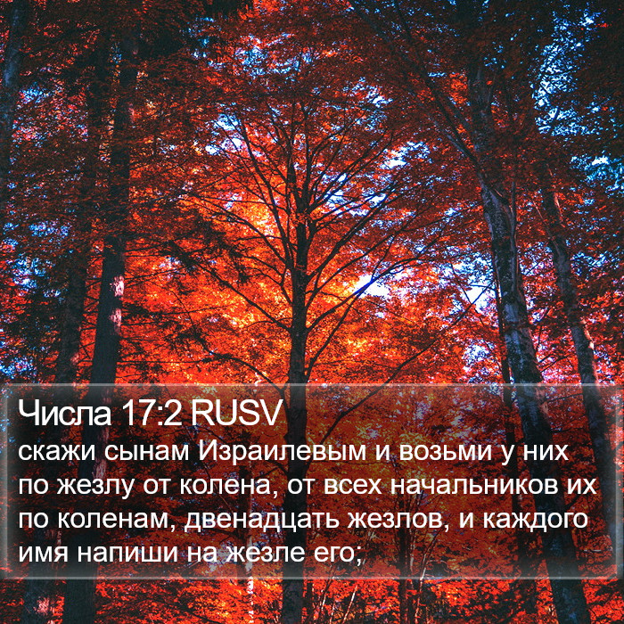 Числа 17:2 RUSV Bible Study