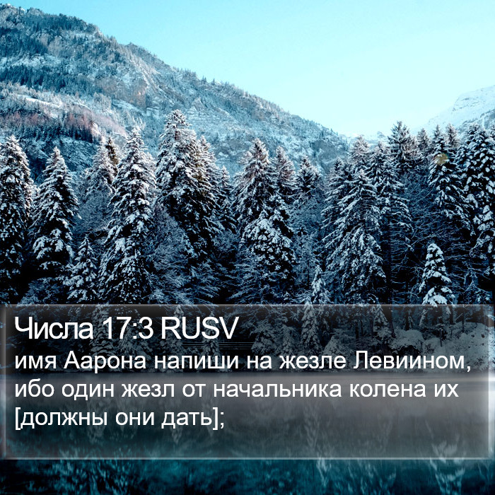 Числа 17:3 RUSV Bible Study