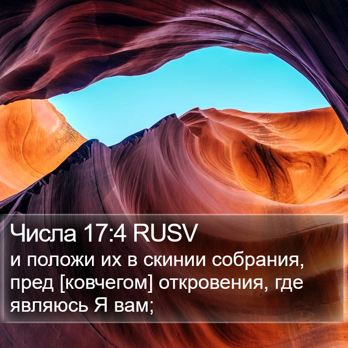 Числа 17:4 RUSV Bible Study