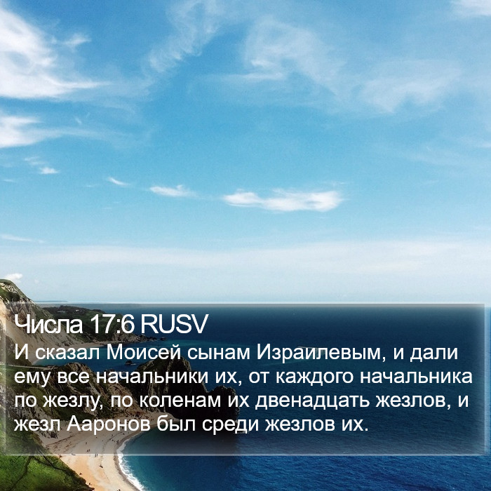 Числа 17:6 RUSV Bible Study