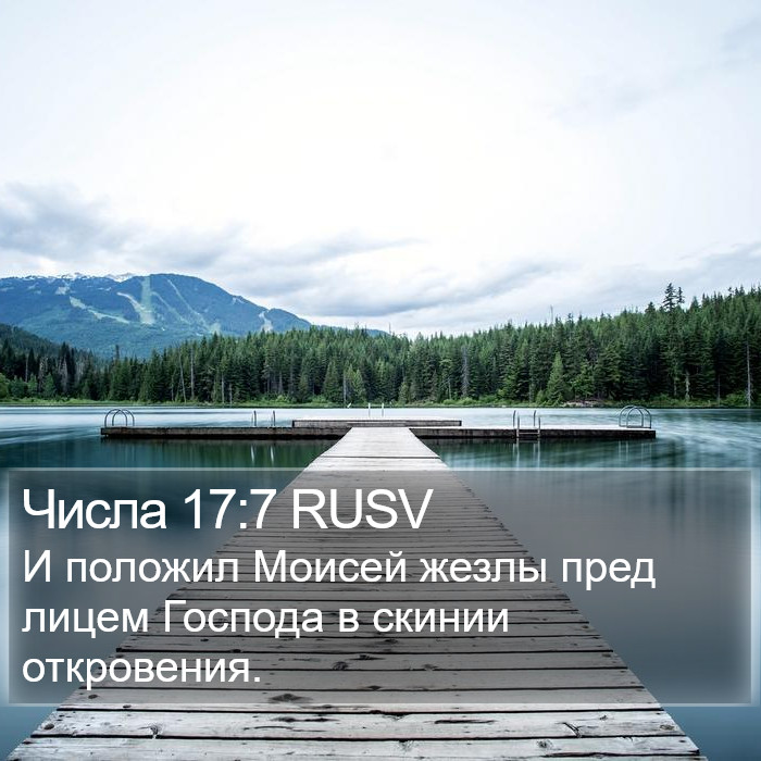 Числа 17:7 RUSV Bible Study