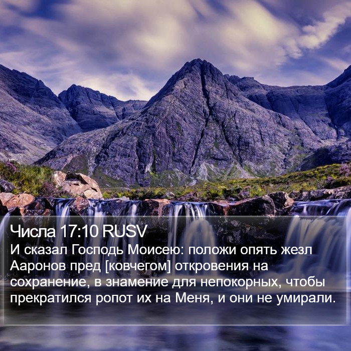 Числа 17:10 RUSV Bible Study