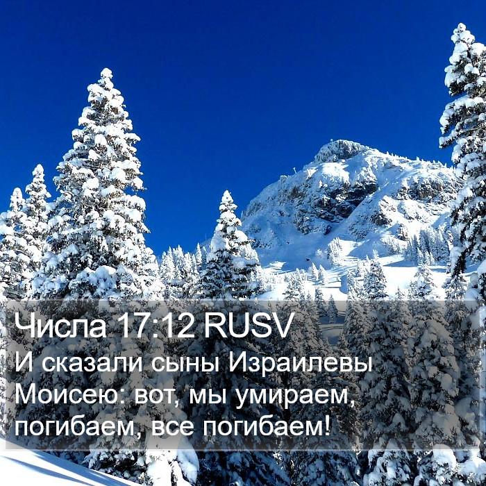 Числа 17:12 RUSV Bible Study