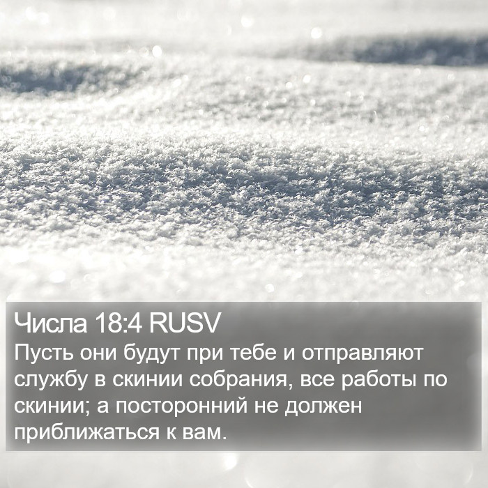 Числа 18:4 RUSV Bible Study