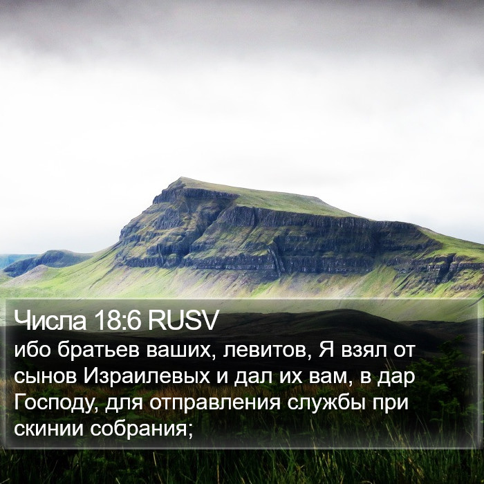 Числа 18:6 RUSV Bible Study