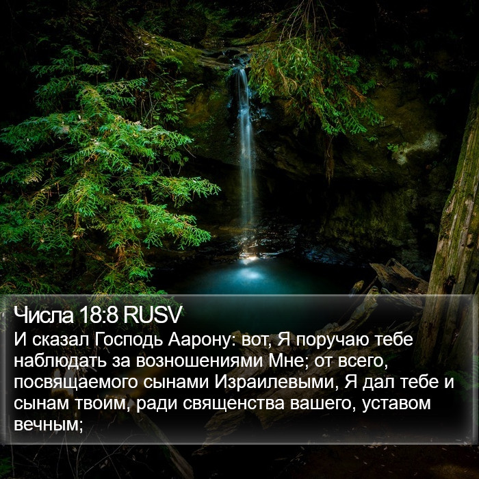 Числа 18:8 RUSV Bible Study