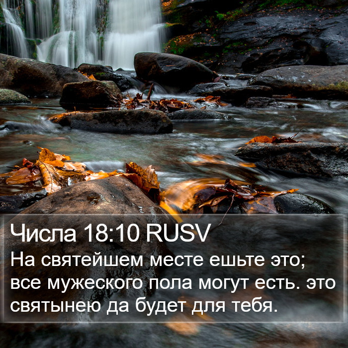 Числа 18:10 RUSV Bible Study