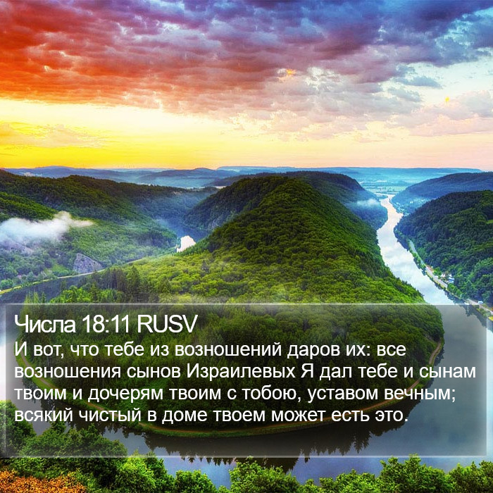 Числа 18:11 RUSV Bible Study