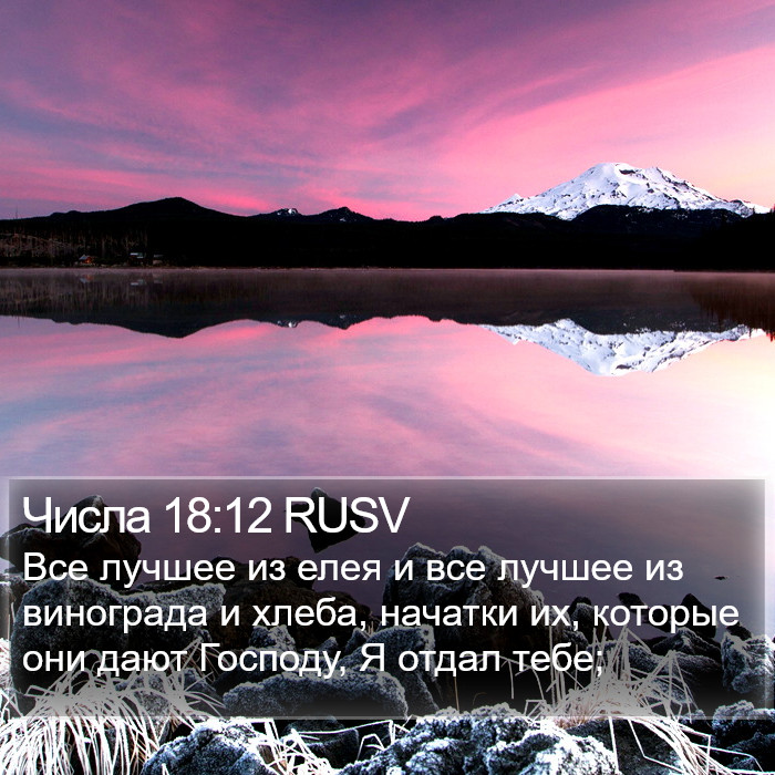 Числа 18:12 RUSV Bible Study