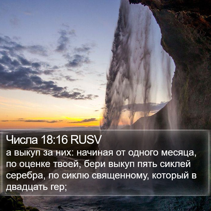 Числа 18:16 RUSV Bible Study